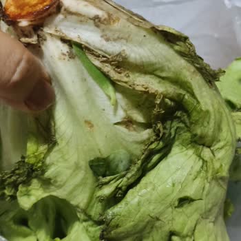 Trendyol Hızlı Market Bozuk, Çürük Ürünlerin İadesi