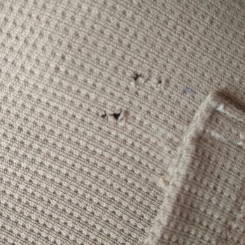 Trendyol Genius Store Adlı Satıcı Mağdur Etti, Acil Dönüş Sağlayın