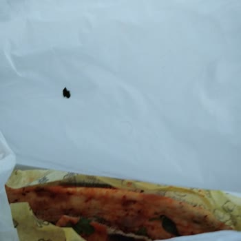 Öz Çukurova Kebap (Fatih) Dürüme Çeyrek Porsiyon Et Koyuyor