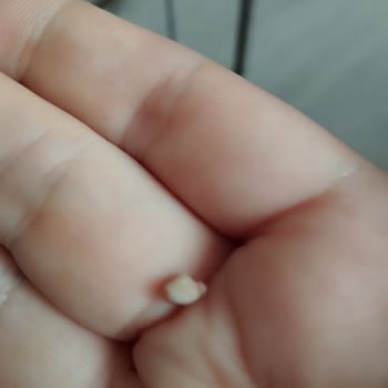 Öz Çukurova Kebap (Fatih) Dürüme Çeyrek Porsiyon Et Koyuyor