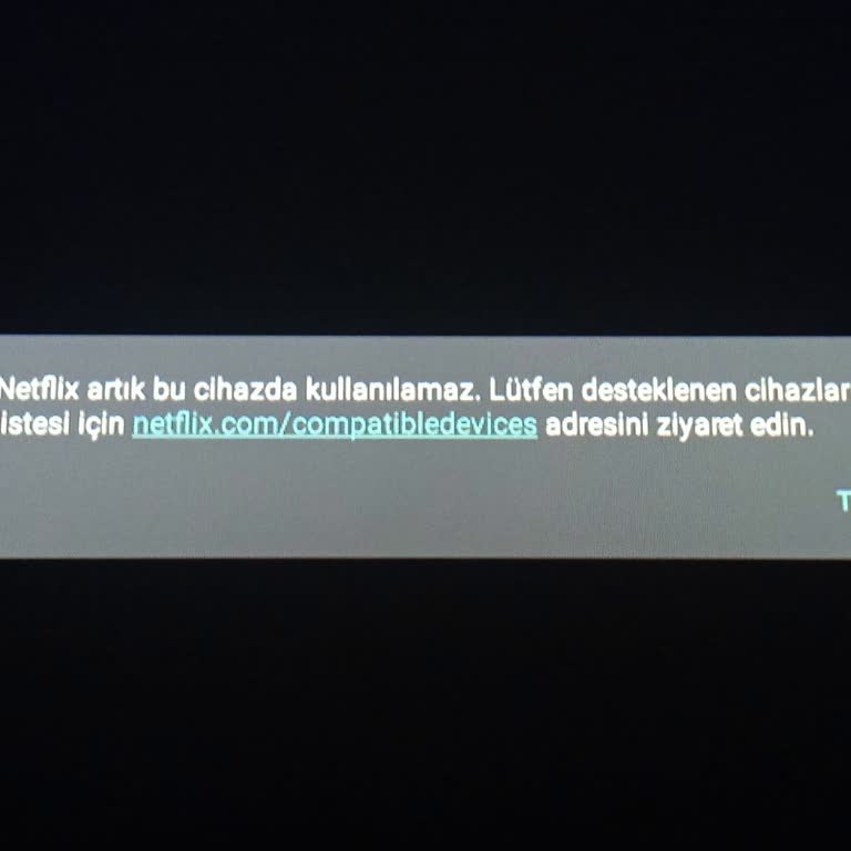 Onvo Netflix Destekli Diye Aldım, Şimdi Kullanamıyorum!