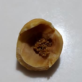 Babaoğlan Kuruyemiş Bozulmuş Ve Bayat Çerez Satıyor