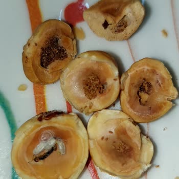 Babaoğlan Kuruyemiş Bozulmuş Ve Bayat Çerez Satıyor