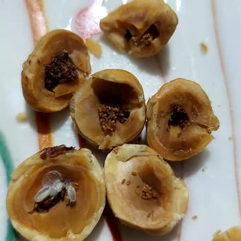 Babaoğlan Kuruyemiş Bozulmuş Ve Bayat Çerez Satıyor