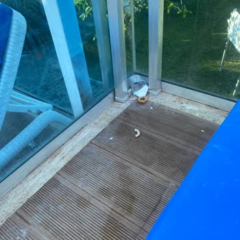 Tatilbudur.com Müşterisini Mağdur Ediyor