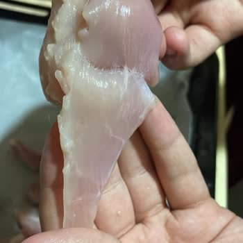 Migros'ta Satılan Gedik Tavuk Bozuk Ve Zehirli Skandal!