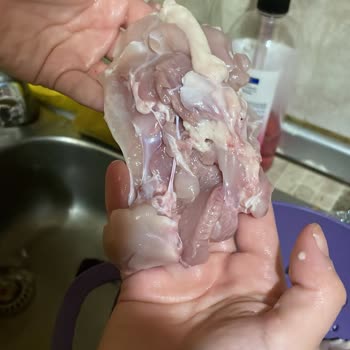 Migros'ta Satılan Gedik Piliç Bozuk Ve Zehirli Ve Hijyen Yok!