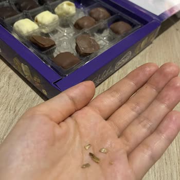 Bolçi Çikolatadan Fıstık Kabukları