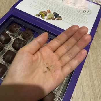 Bolçi Çikolatadan Fıstık Kabukları