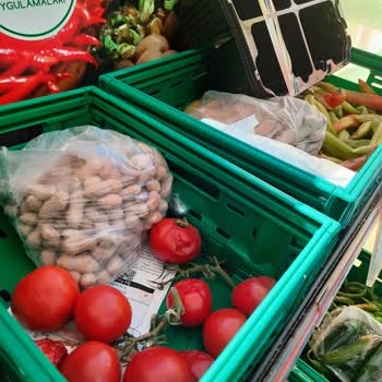 Migros Ürün Hizmet Memnuniyet