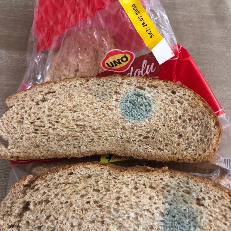 Şok Marketler Küflü Ekmek Ve Müşteri Hizmetleri Sorunu