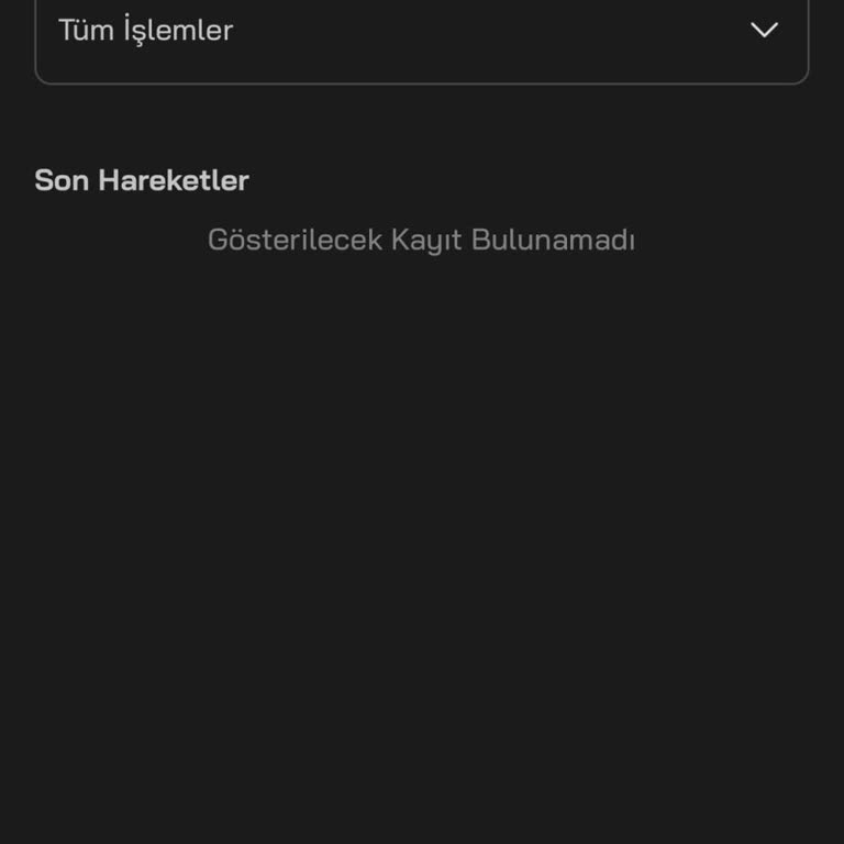 Payfix Hesap Ekstresi Görüntüleyemiyorum