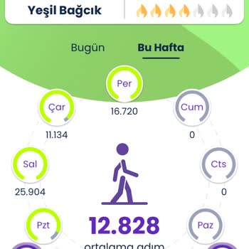 Spor İstanbul Yürü Be İstanbul Adımları Görevlere Yansıtmıyor