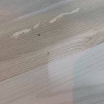 Terraclick Pişmanlığımız Oldu, Henüz Kullanamadan Süpürgelikler Çöp