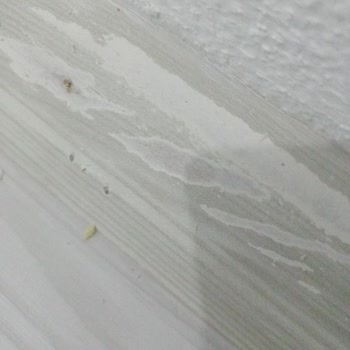 Terraclick Pişmanlığımız Oldu, Henüz Kullanamadan Süpürgelikler Çöp