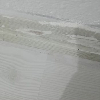 Terraclick Pişmanlığımız Oldu, Henüz Kullanamadan Süpürgelikler Çöp