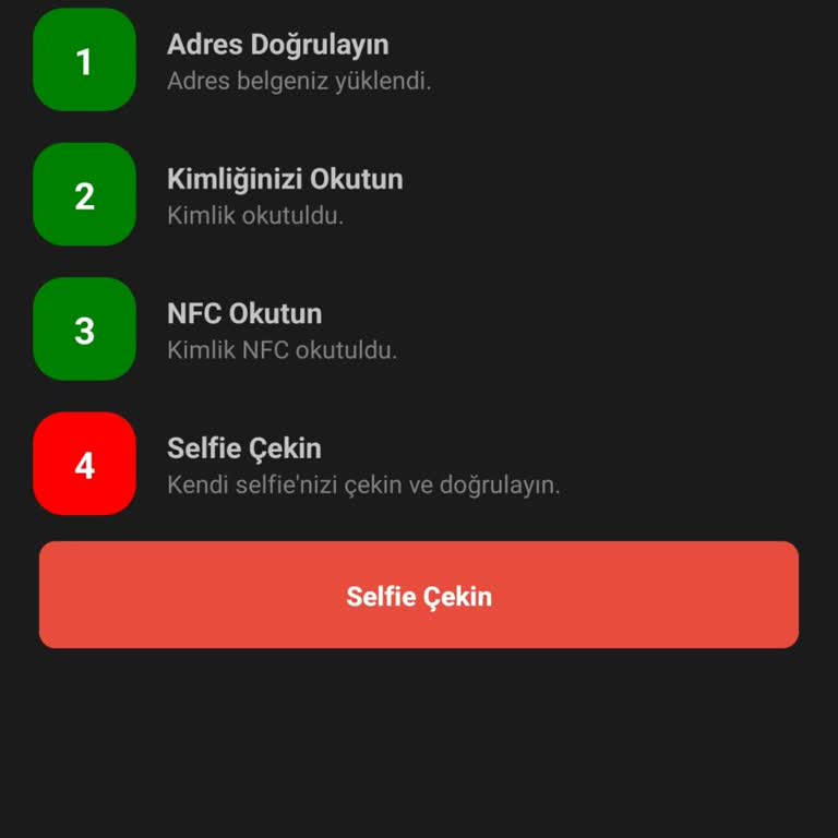 PayFix Hesap Doğrulama Hatası