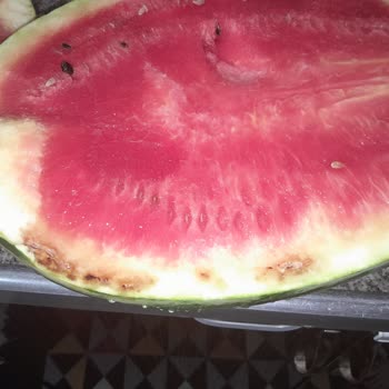 Migros Kurtlanmış Çürümüş Ezilmiş