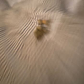 Söke Belediyesi Söke The Stones Castel Hotel