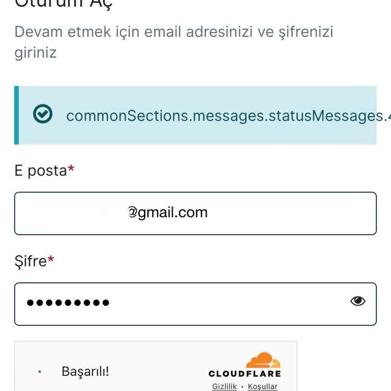VFS Global Şifre Sıfırlama Sorunu Ve Destek Eksikliği