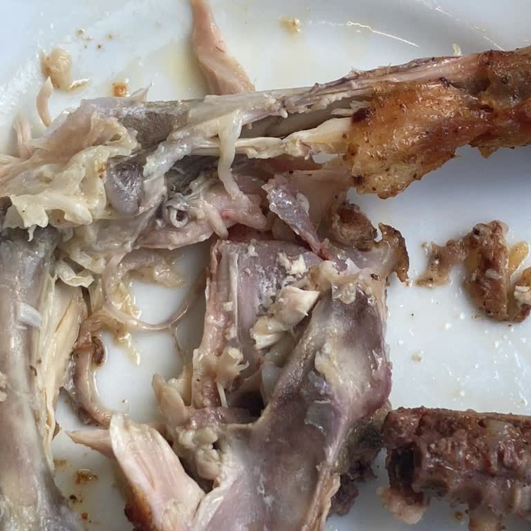 ISS Türkiye Medipol Üniversitesi Yemekhanesinde Sağlık Tehlikesi: Gıda Zehirlenmesi Ve Hijyen Sorunları