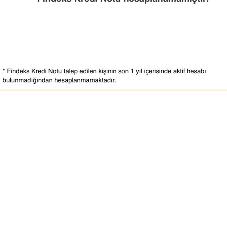 Findeks Puanım Oluşmuyor. Neden Oluşmadığını Bilemiyorum