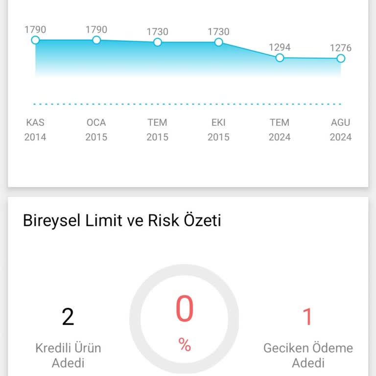Findeks Gecikme Problemiyle İlgili