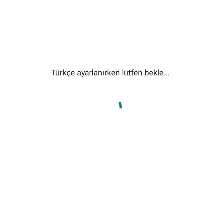 Instagram Giriş Yapamıyorum