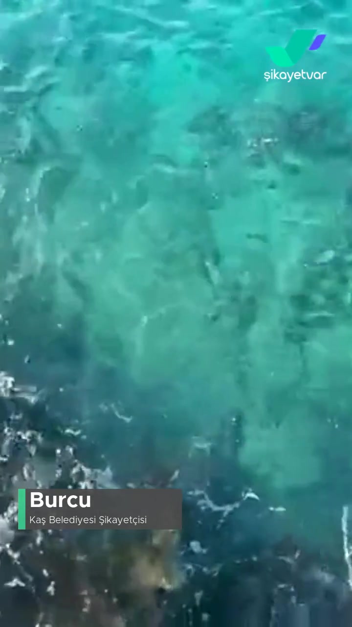 Kaş Belediyesi Denizde Kirlilik Sorunu! videonun kapak resmi