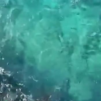 Kaş Belediyesi Denizde Kirlilik Sorunu!