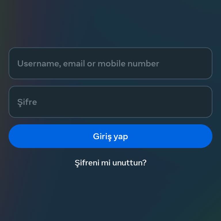 Instagram'a Giremiyorum BTK Sesimi Duy