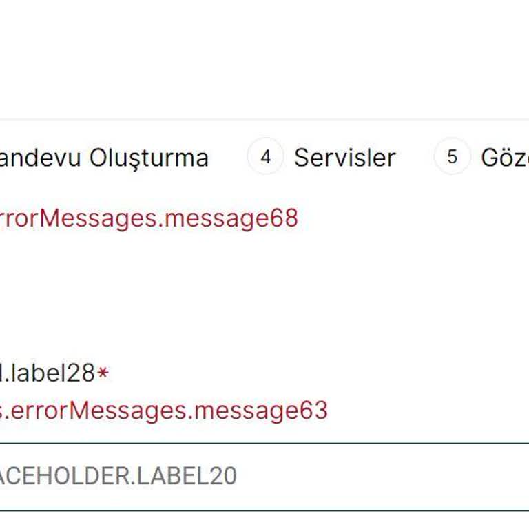 VFS Global VFS Hollanda- Hata