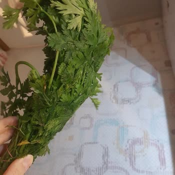 Arçelik Çözülemeyen Buzdolabı Arızası