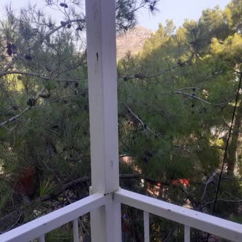 Class Beach Hotel Yanlış Oda Verildi, Fotoğrafla Alakası Olmayan Bir Oda