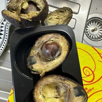 Migros Avokado Çürük Ve Küflü