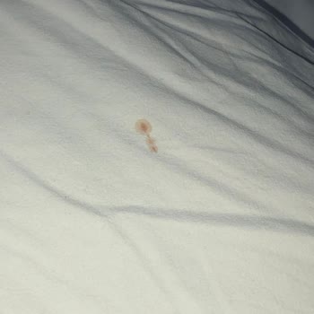 Konya Öğretmenevi Konya Meram Öğretmen Evi