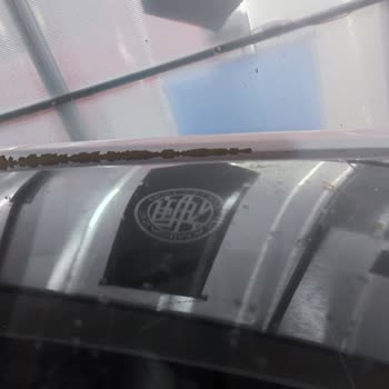 Honda Civic 2018 Boyasını Döküyor - Kronik Kusur