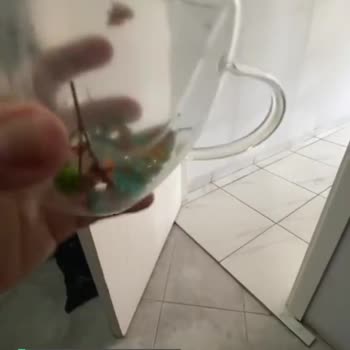 Kupa Dünyam Ayıplı Ürün, Kırık Çiçekli