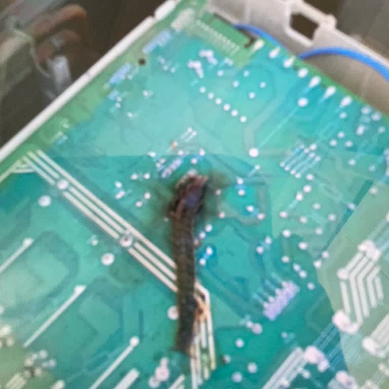 Vestel Ücretli İşlem Hakkında