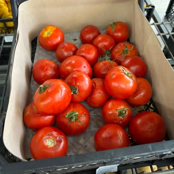 Sakarya/Serdivan'da Bulunan A101 İn Küflü Sebze Satması