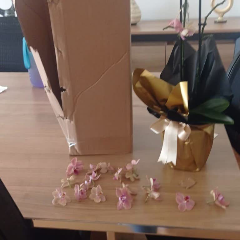 Lozine Flowers Sipariş Edilen Orkide Ve Kuryenin Davranışı Hakkında Şikayet