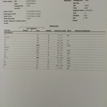 Dost Veteriner Kliniği (Çorlu) Yanlış Antibiyotik Uygulaması Ve Bir Veteriner Hatası Daha