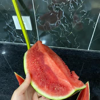 File Market Bozuk Ürünün İade Alınmaması