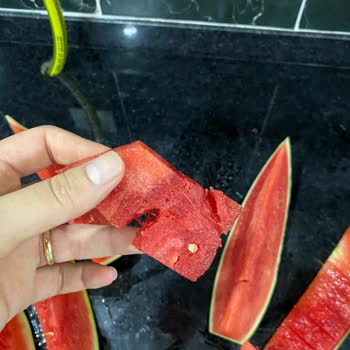 File Market Bozuk Ürünün İade Alınmaması