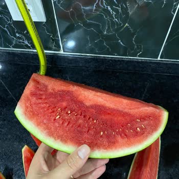 File Market Bozuk Ürünün İade Alınmaması