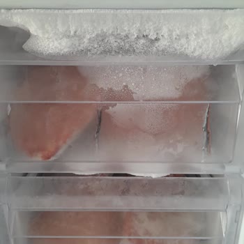 Ugur Derin Dondurucu Karlanma Problemi