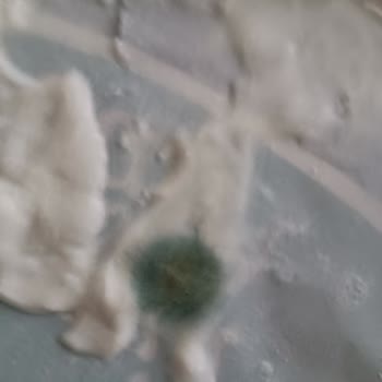 Pınar Et ve Süt Yoğurt Ambalajında Küf Sorunu