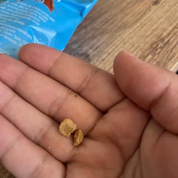 Amigo Şok Amigonun Soslu Taşları (! )