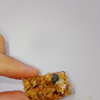 TMO Fındık Krokan İçinden Çakıl Taşı Çıktı...