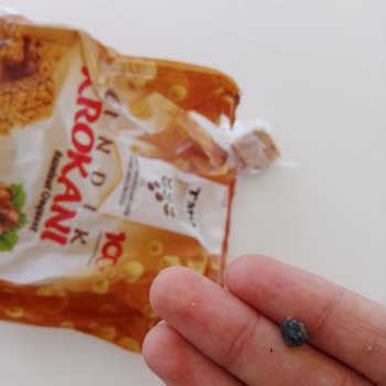 TMO Fındık Krokan İçinden Çakıl Taşı Çıktı...